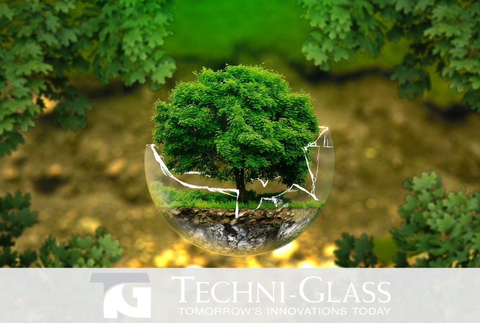biodegradable glass concept image