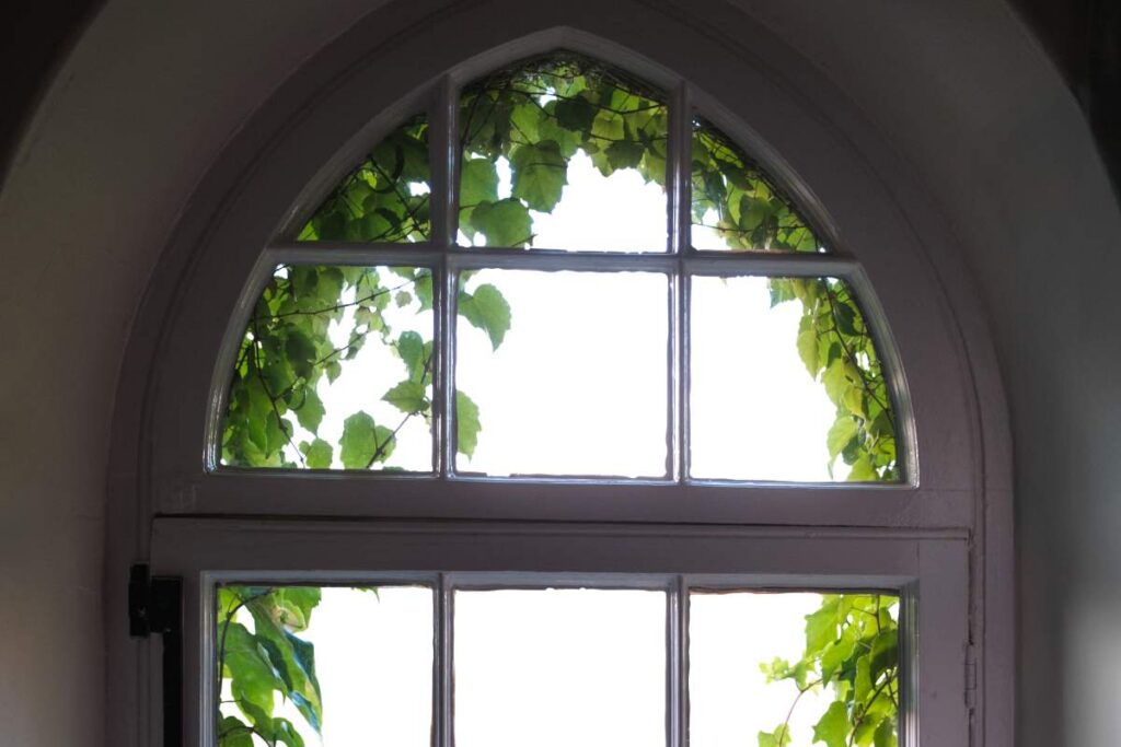 A custom cut glass window is an example of a trend anticipated by Techni-Glass' 2026 glass market predictions.